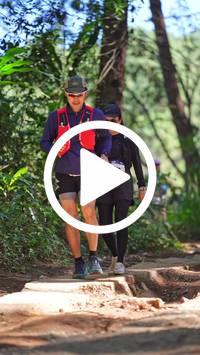 BIB:  <button type="button" onclick="openModal(26787529)" class="btn btn-primary btn-sm float-right" data-toggle="modal" data-target=".modal-high-quality">
                <i class="fa fa-download"></i> Download
                </button>